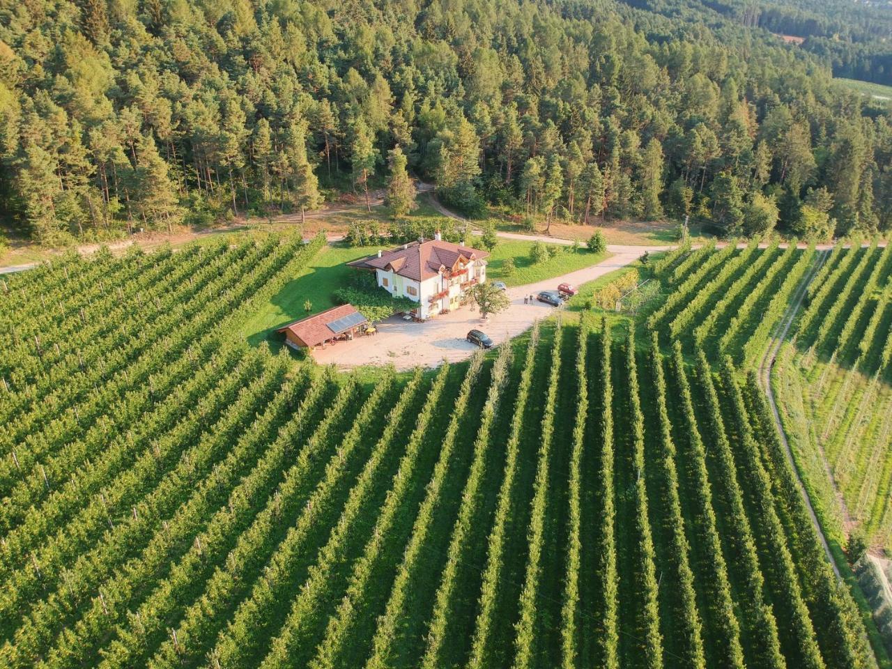 Agriturismo Maso Tafol Villa Cloz Luaran gambar